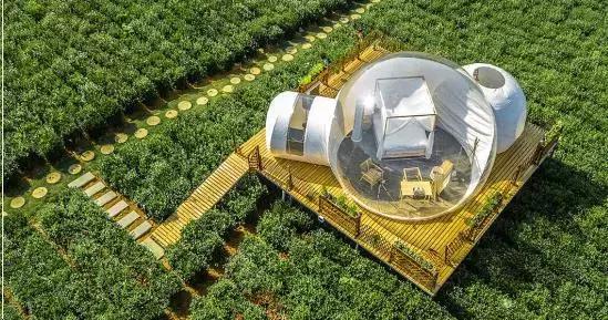 网红泡泡屋你见过吗?而且还是可以看星空的!