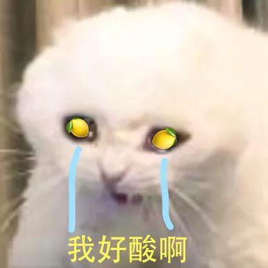 朋友圈越刷越没劲，怎么回事？你不是唯一这样想的人