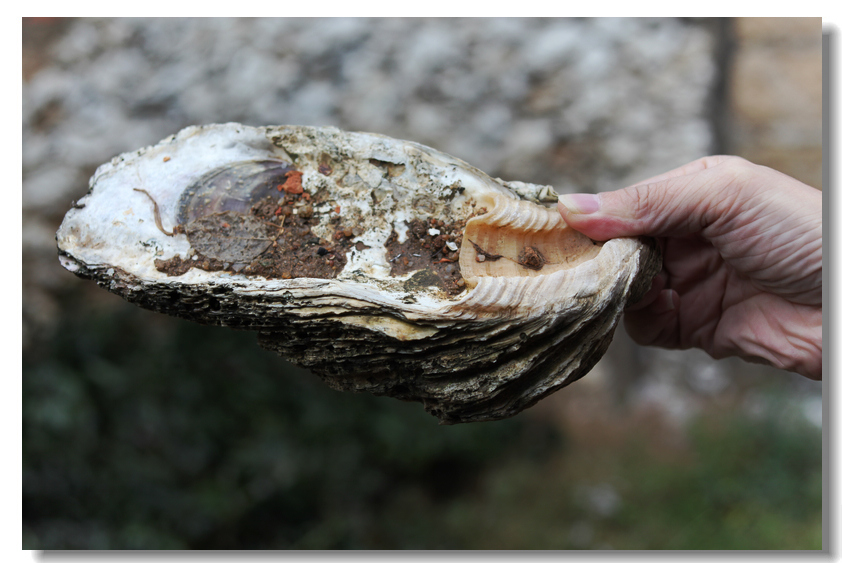 e9cec7a9576a48a9a2a07c106edd3f3e.jpg e9cec7a9576a48a9a2a07c106edd3f3e.jpg