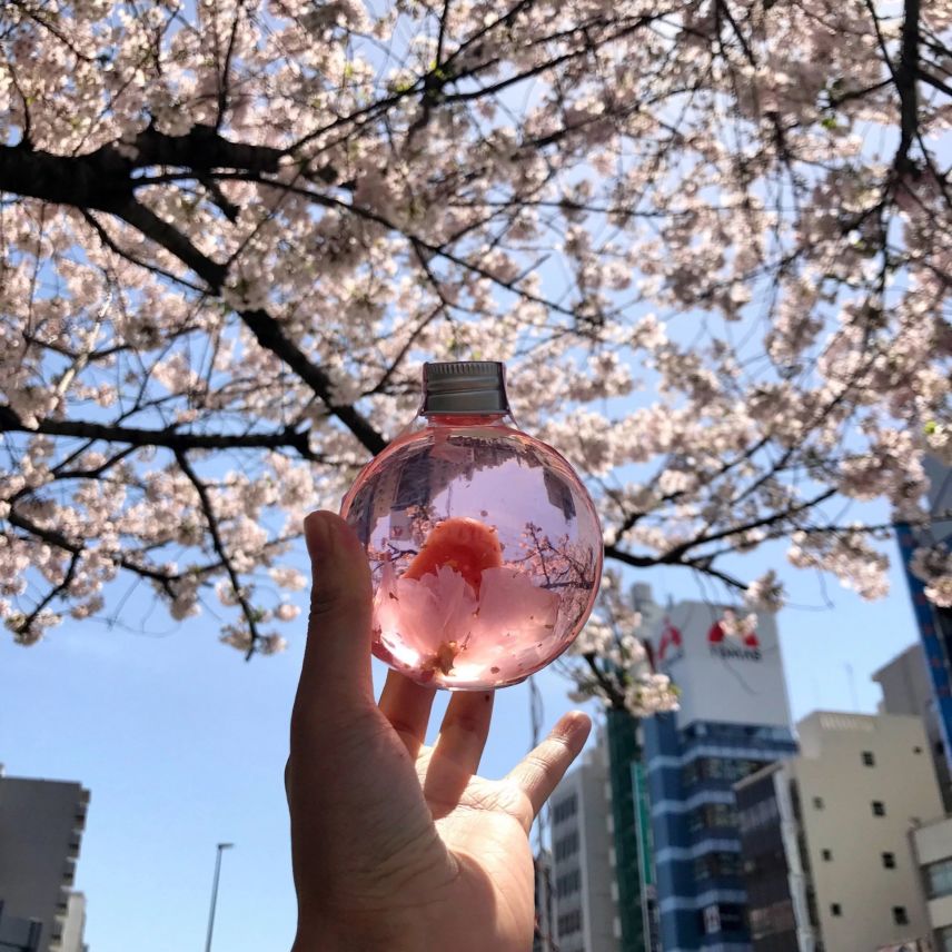 春意正浓,8款最适合女生的高颜值小甜酒了解一下!