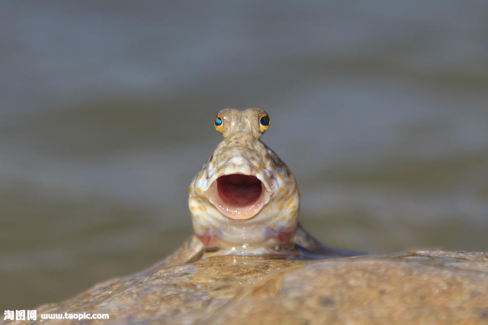 f2ddcc1295324abdb8344ac12919fcb9.jpg f2ddcc1295324abdb8344ac12919fcb9.jpg