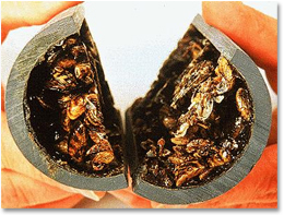 3834f623121749dcb6cfb0e1a9a823e6.jpg 3834f623121749dcb6cfb0e1a9a823e6.jpg