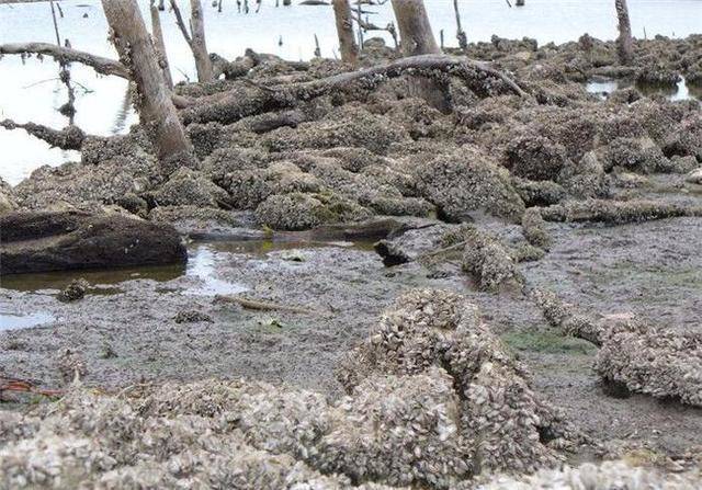 55fea6123c9c4af6b5ddbce35ff27775.JPEG 55fea6123c9c4af6b5ddbce35ff27775.JPEG