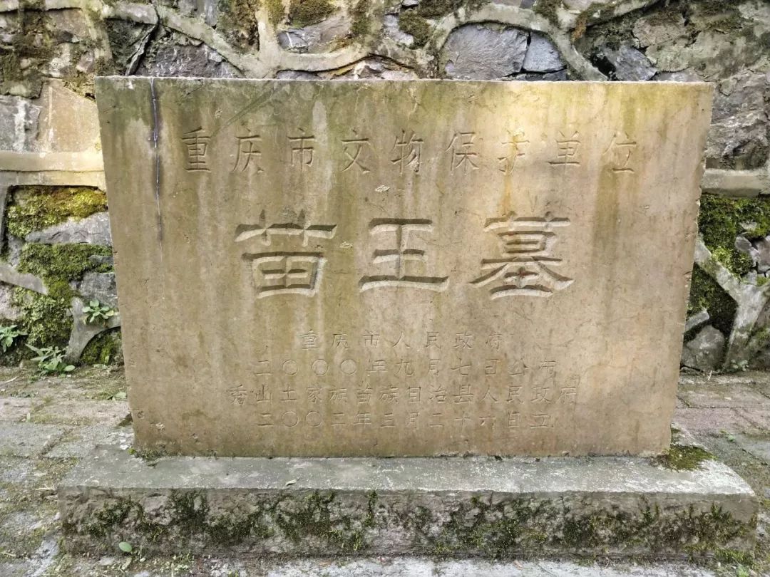 开幕的头一天,自己按着指示牌骑着小毛驴到了苗王墓,看到这墓,吓了一