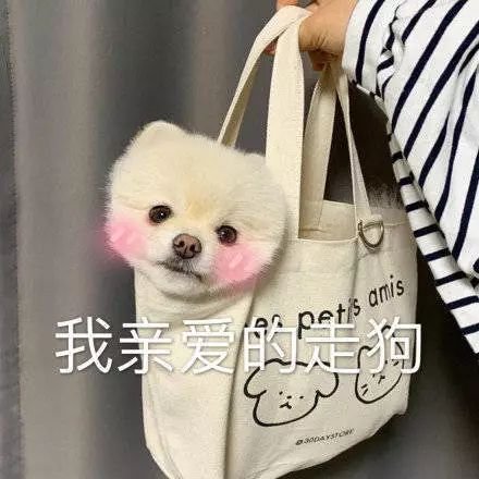 ʫѧ˸Ʈ˻᲻ˣ