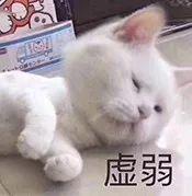 ϵզˣɹֱӱ²۸ϲ