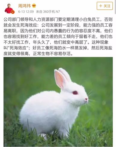 京东的两难