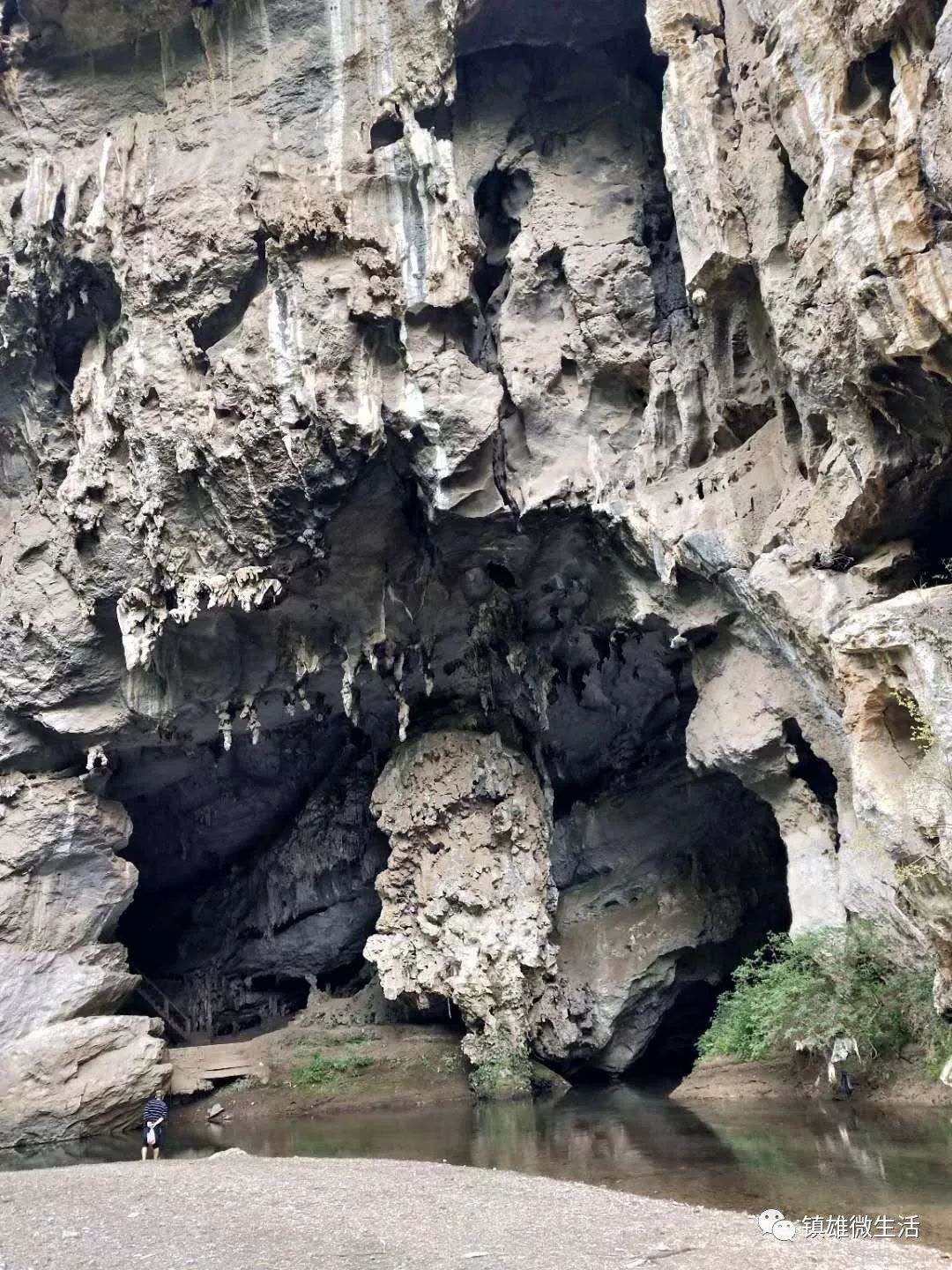 镇雄中屯小山峡出现大量死鱼,好可惜!