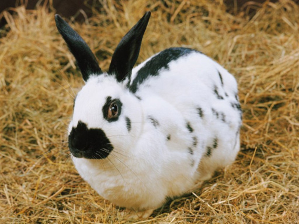 e510e54e9aae4e6384e4eb793af84a9f.jpg e510e54e9aae4e6384e4eb793af84a9f.jpg