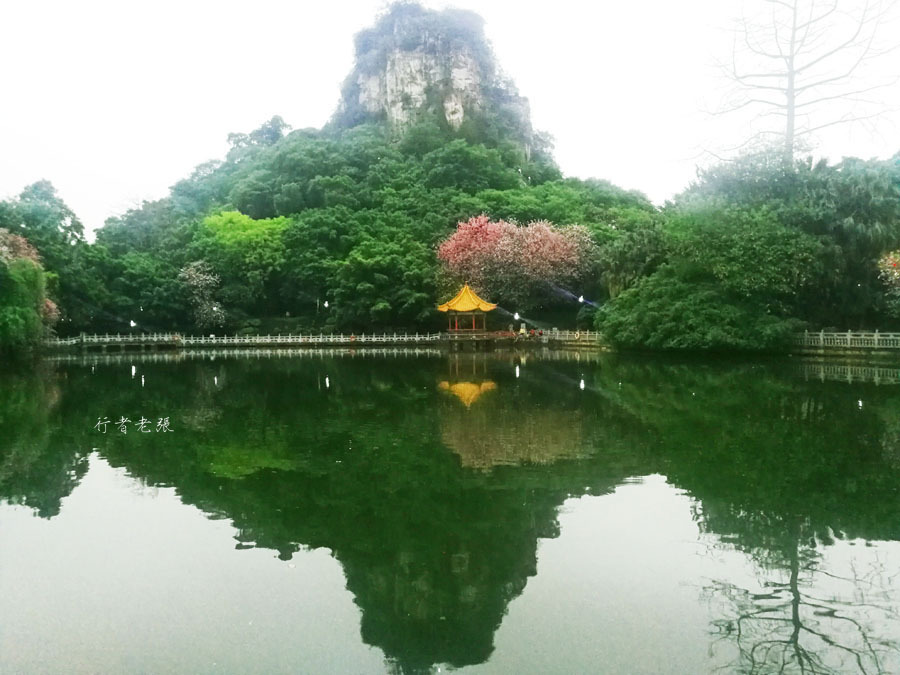 柳州古八景寻踪之南潭鱼跃,一千年前就被柳宗元代言的