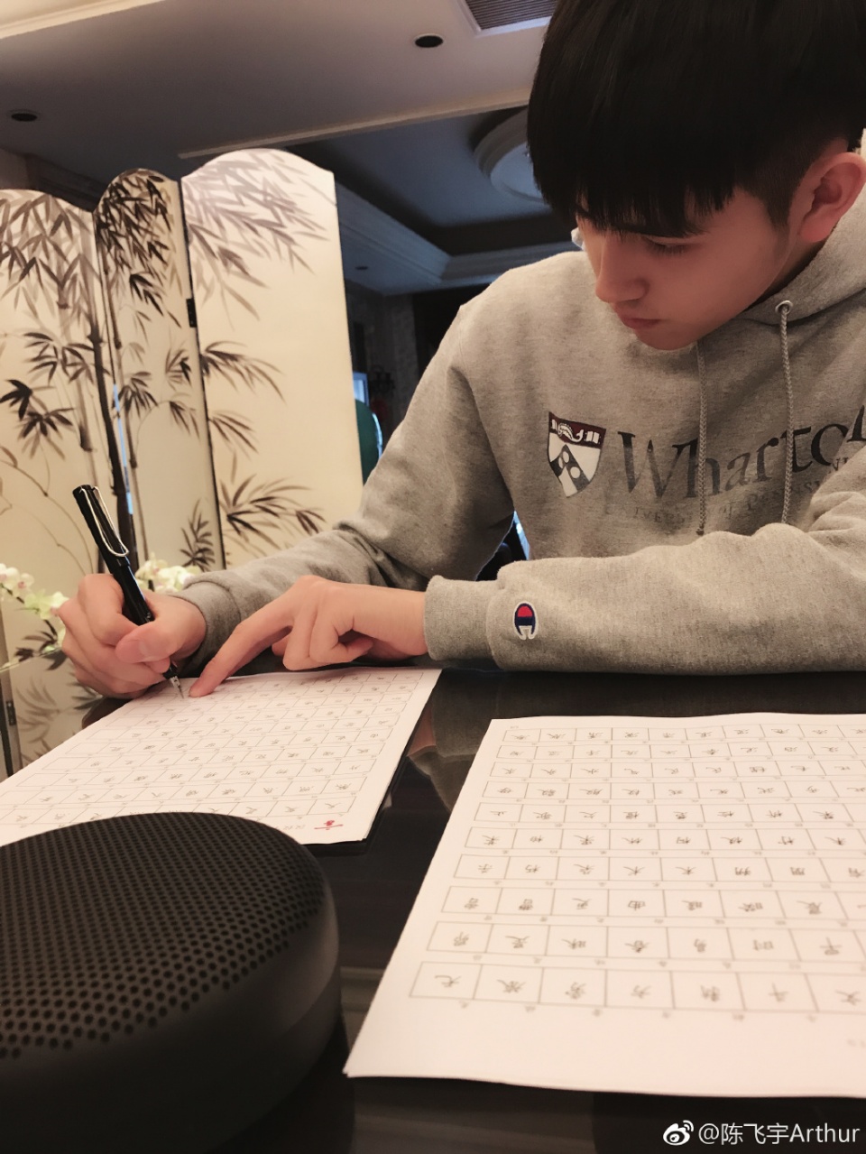 陈飞宇艺考引争议！以外籍身份考入北电，可他百科是中国籍