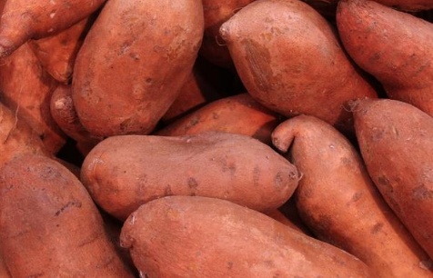 糖尿病患者能够吃红薯吗？红薯的营养价值全介绍