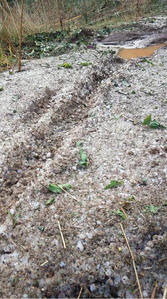 一处艳阳高照,一处突降冰雹!云南多地遭冰雹袭击 接下来的天气