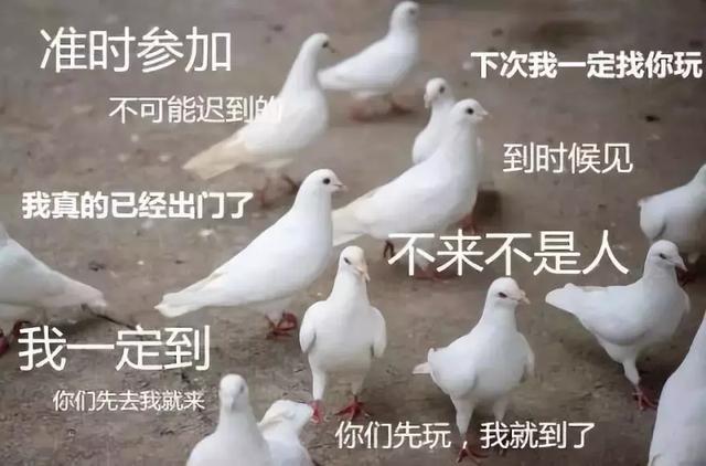 人类的本质到底是什么？