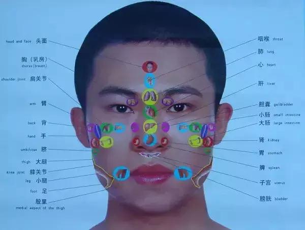 看懂这张图,穴位不用找(人体全息图)