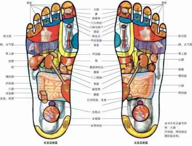 看懂这张图,穴位不用找(人体全息图)