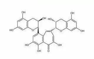 茶与健康 | 茶的鲜味从何而来？