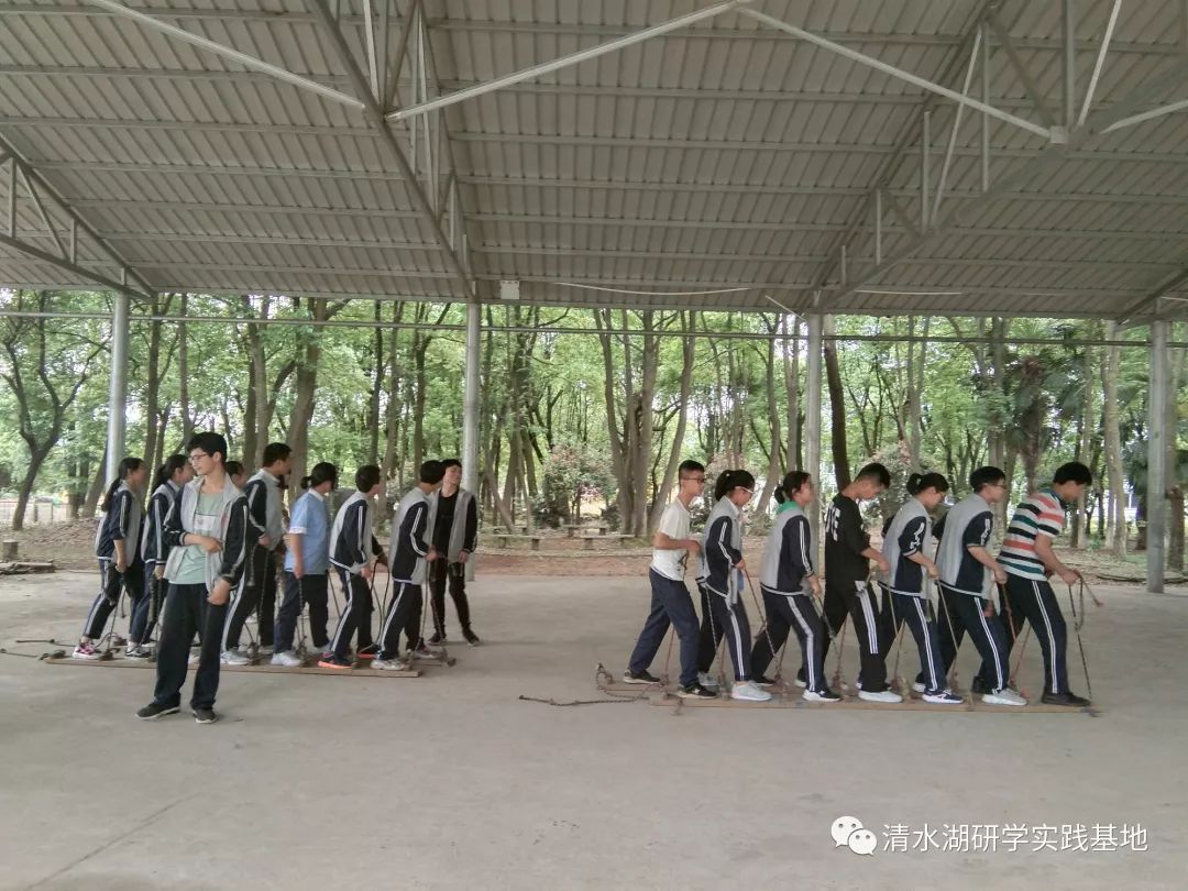 清水湖研学实践:鼎城区灌溪镇中学
