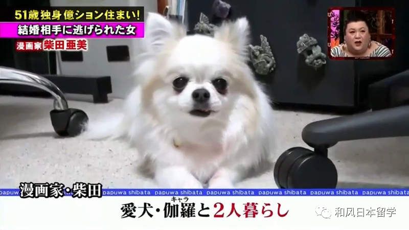 https://image.ipaiban.com/upload-ueditor-image-20190506-1557139838914028718.png