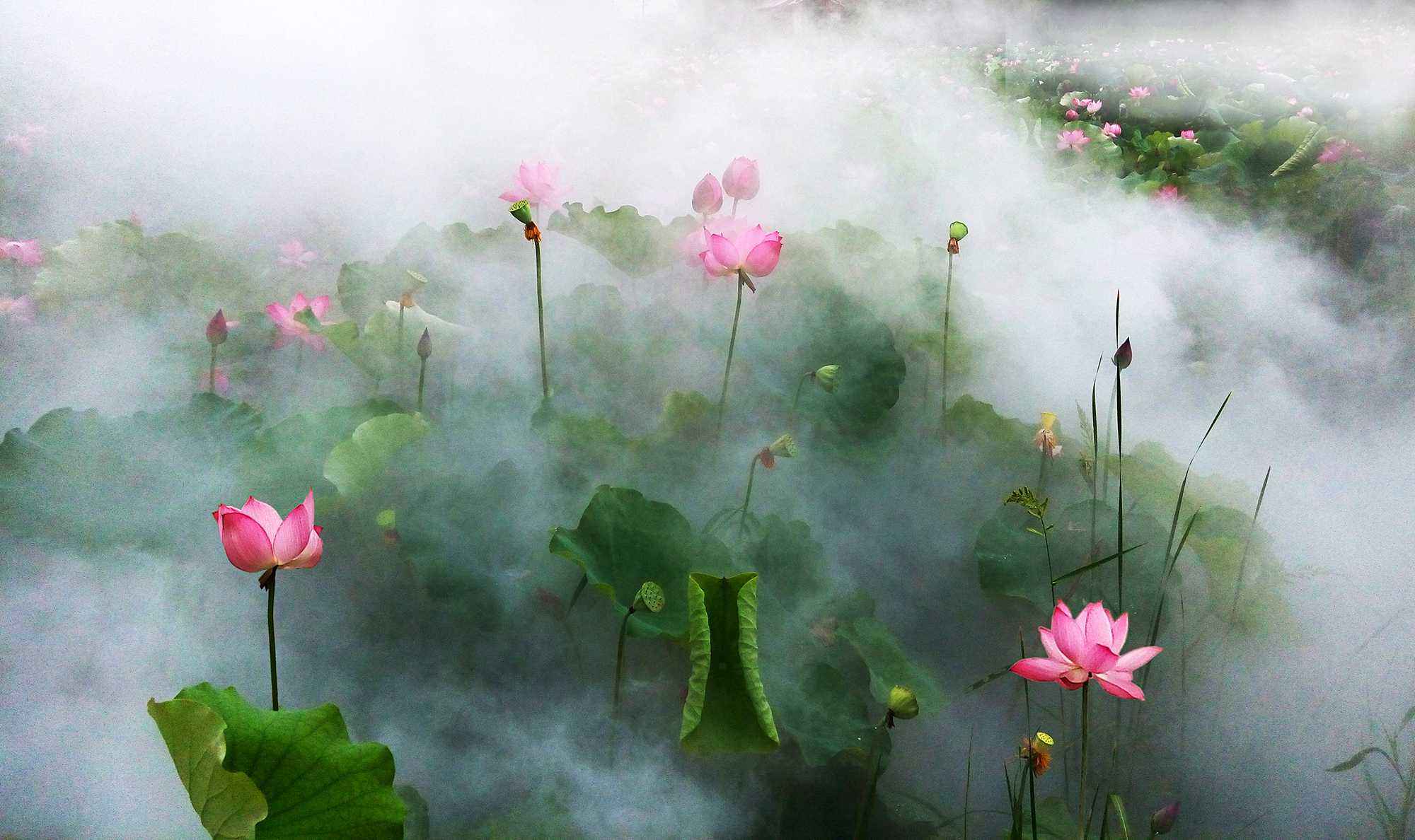 7b2d7d49d0a64f6e812fae9a9df8a5b9.jpg