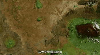 刘雯最新照片刷屏：你愿意爱我吗？