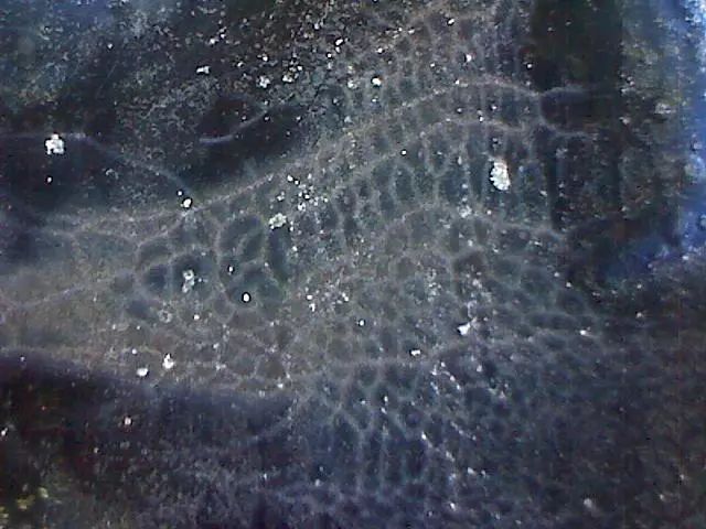 156、瓷器微观典型特征