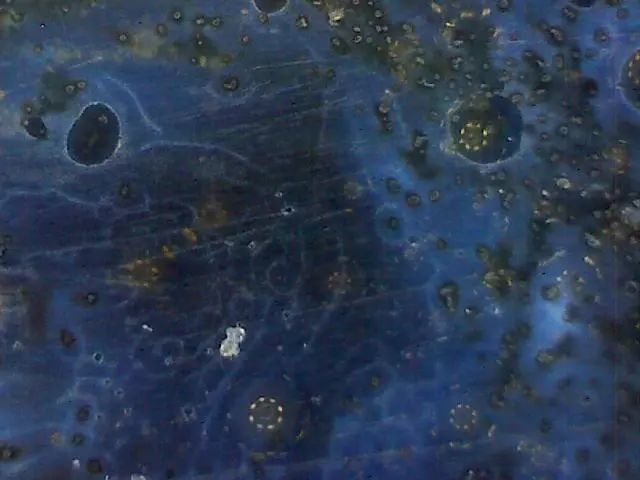 156、瓷器微观典型特征