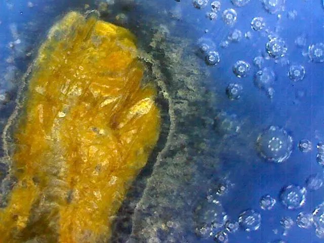 156、瓷器微观典型特征