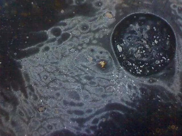 156、瓷器微观典型特征