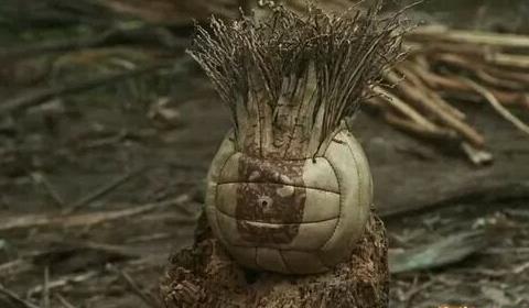 现代版的鲁滨逊漂流记,一个人流落荒岛,该如何生存