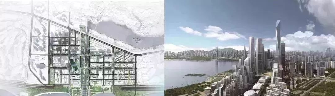 震撼!深圳湾超级总部何谓“超级”?__凤凰网