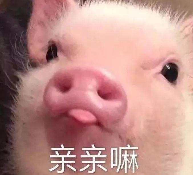 大家心目中的文艺女神虽然是内牛五方脸，但下唇暗藏着小心机