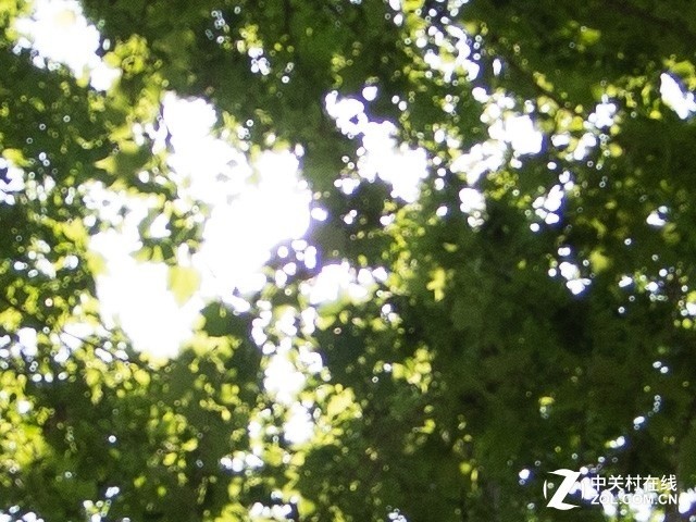 视角210度 老蛙4mm f/2.8鱼眼镜头体验评测