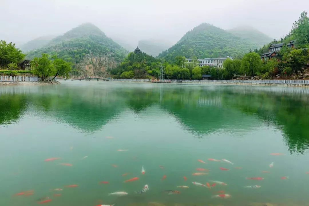 透心凉!山东超级避暑胜地九年来首次端午半价