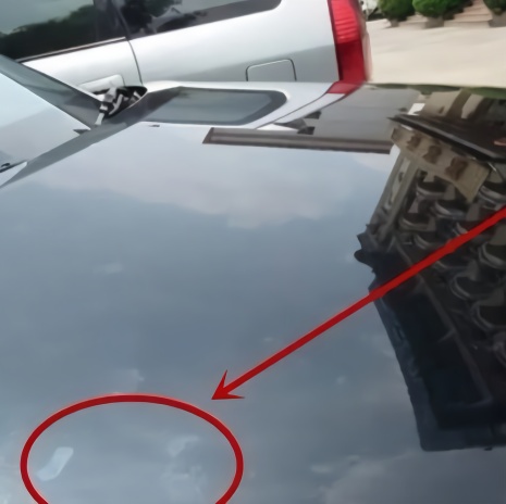 车漆头号杀手竟然是它？应该怎么办？