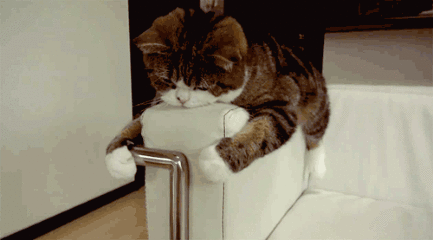 搞笑段子:前女友开了家小面馆,我进去吃碗牛肉面她居然不收钱!