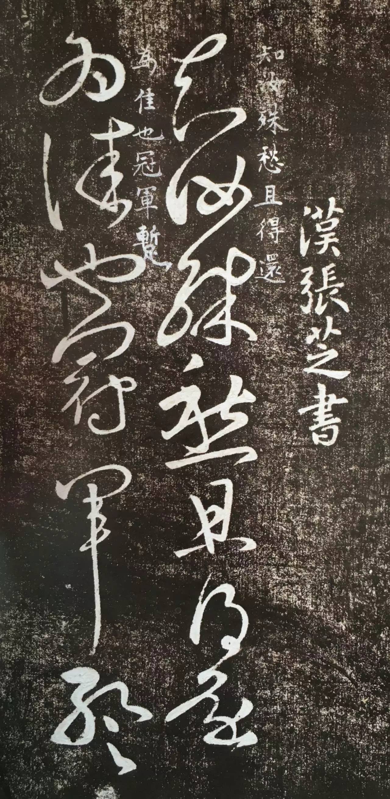 经典碑帖:张芝草书《冠军帖》_凤凰网