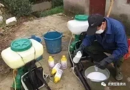 不同种类与配偶的关系