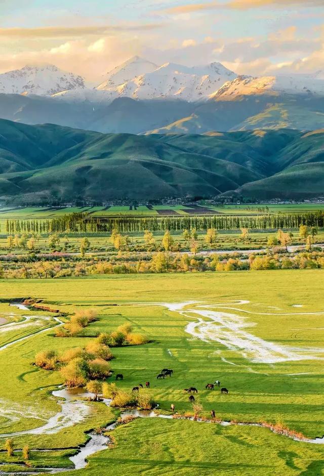 新疆  那拉提草原 西藏  羌塘大草原