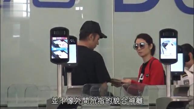洪欣张丹峰带女儿游美国一个月修补感情，两夫妻有说有笑感情好