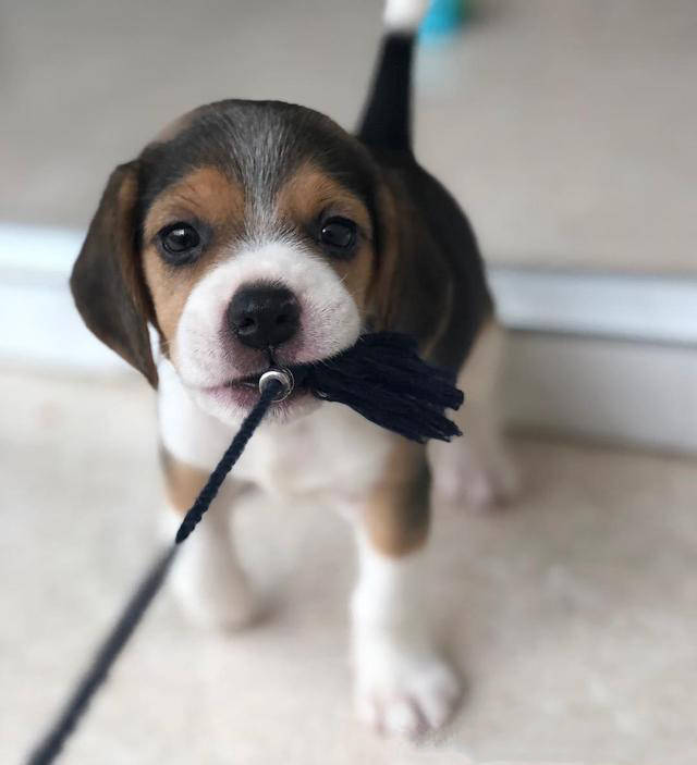 d0f9beb2065f42d4ba2718dd81fe07bc.jpg d0f9beb2065f42d4ba2718dd81fe07bc.jpg