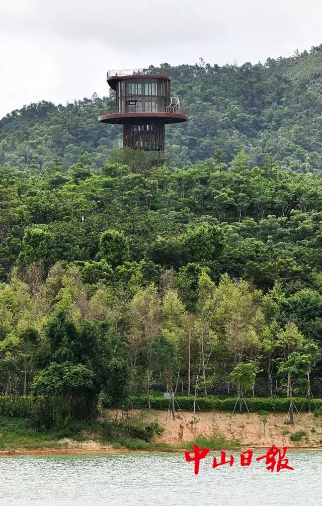 中山金钟湖公园改造完成!开放时间已定