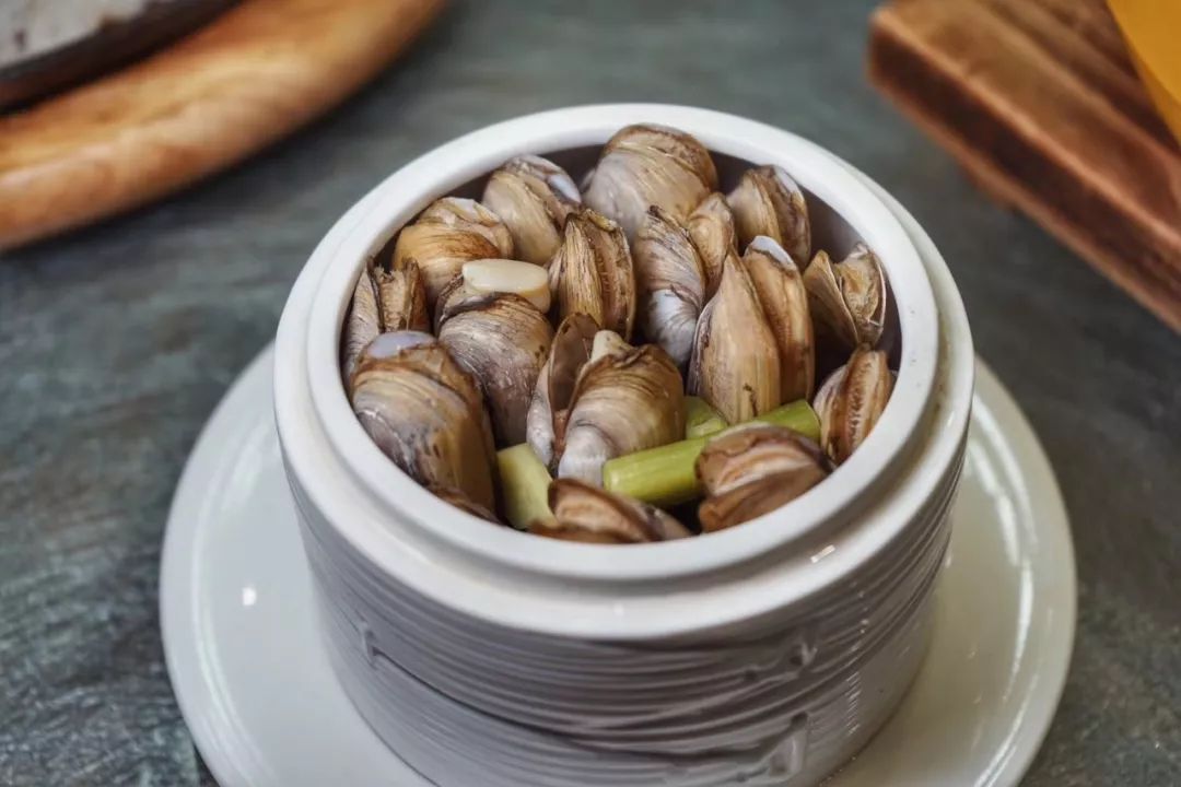 哆头蛏的夏天