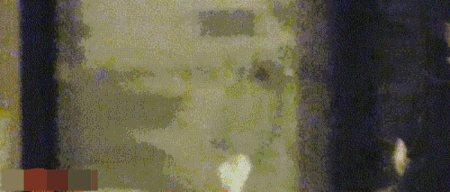 8080-hyrtarv6233389