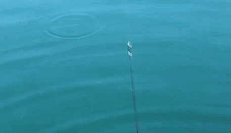 40岁大叔任性盘下一座岛,爆改成海景房,每天钓鱼采摘看星星