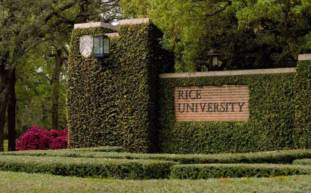 rice university,universitywits 985退学留学美国,一位耶鲁mba求学历程:叛逆的三次选择