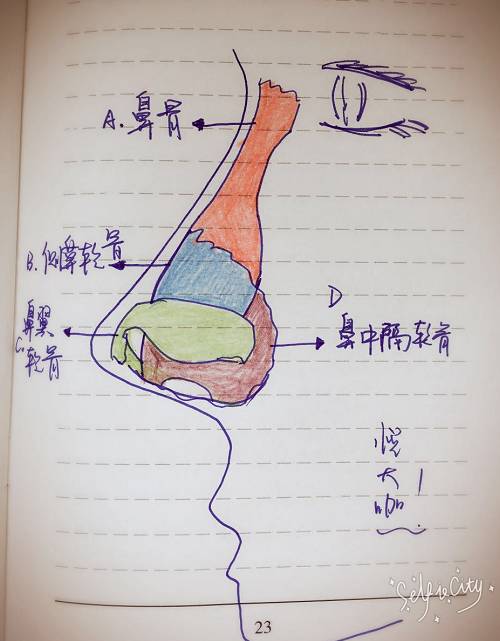 比如说肋软骨,鼻中隔软骨,膨体等,用更加符合人体鼻部生理结构,在不