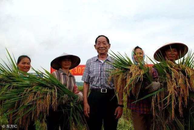 英语流利、俄语不差,会拉小提琴、跳踢踏舞……原来你是这样的袁隆平