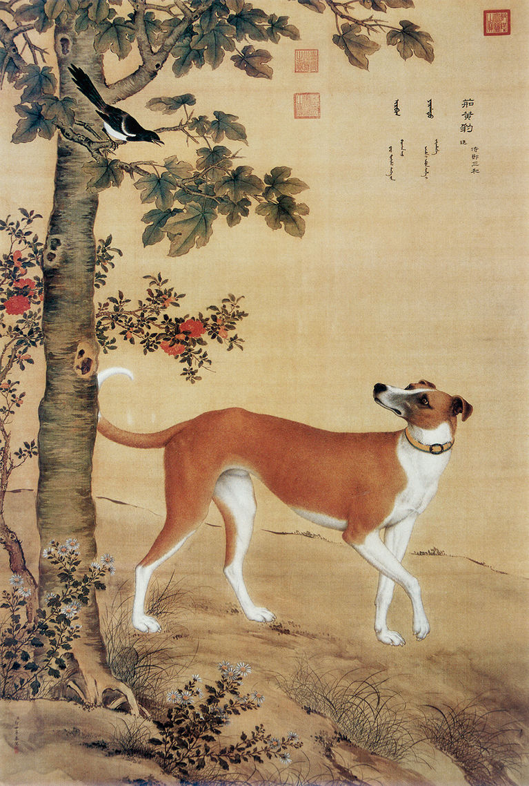 清 郎世宁 十骏犬图之“茹黄豹” 台北故宫博物院藏