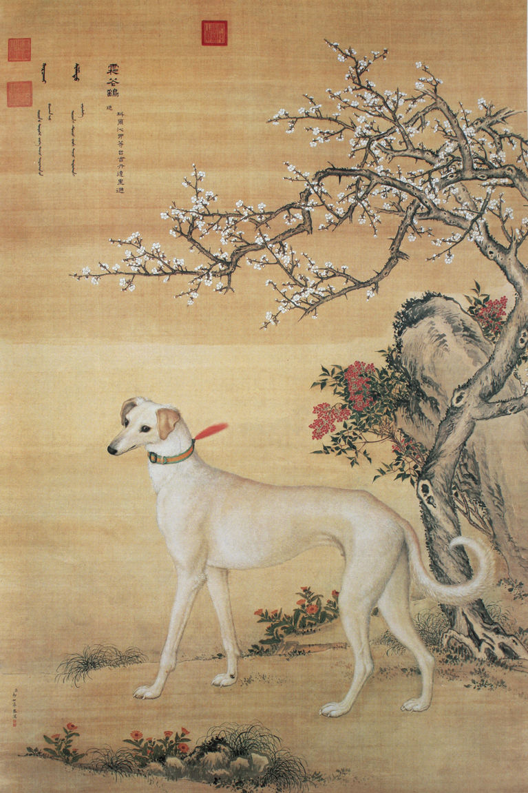 清 郎世宁 十骏犬图之“霜花鹞” 台北故宫博物院藏